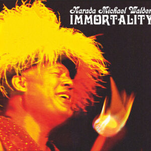 Narada Michael Walden - Immortality